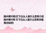 雨中黄叶树(灯下白头人是什么意思介绍 雨中黄叶树 灯下白头人是什么意思详细情况如何)