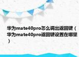 华为mate40pro怎么调出返回键（华为mate40pro返回键设置在哪里）
