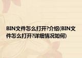 BIN文件怎么打开?介绍(BIN文件怎么打开?详细情况如何)