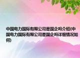 中国电力国际有限公司是国企吗介绍(中国电力国际有限公司是国企吗详细情况如何)