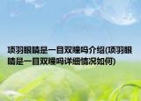 项羽眼睛是一目双瞳吗介绍(项羽眼睛是一目双瞳吗详细情况如何)