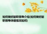 如何做好副职领导介绍(如何做好副职领导详细情况如何)