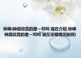 林峰(钟嘉欣真的是一对吗 现在介绍 林峰 钟嘉欣真的是一对吗 现在详细情况如何)