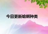 今日更新蛤蜊种类