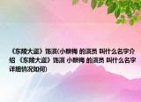 《东陵大盗》饰演(小酸梅 的演员 叫什么名字介绍 《东陵大盗》饰演 小酸梅 的演员 叫什么名字详细情况如何)