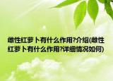 雌性红萝卜有什么作用?介绍(雌性红萝卜有什么作用?详细情况如何)