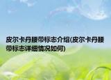 皮尔卡丹腰带标志介绍(皮尔卡丹腰带标志详细情况如何)