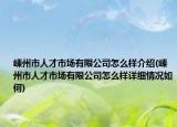 嵊州市人才市场有限公司怎么样介绍(嵊州市人才市场有限公司怎么样详细情况如何)