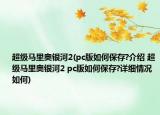 超级马里奥银河2(pc版如何保存?介绍 超级马里奥银河2 pc版如何保存?详细情况如何)