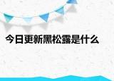 今日更新黑松露是什么