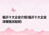 临沂十大企业介绍(临沂十大企业详细情况如何)