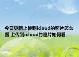 今日更新上传到icloud的照片怎么看 上传到icloud的照片如何看