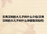 贝克汉姆的大儿子叫什么介绍(贝克汉姆的大儿子叫什么详细情况如何)