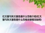 红太狼与灰太狼各是什么性格介绍(红太狼与灰太狼各是什么性格详细情况如何)