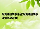 捡麦穗的故事介绍(捡麦穗的故事详细情况如何)