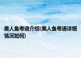 美人鱼粤语介绍(美人鱼粤语详细情况如何)