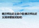 鳞次栉比近义词介绍(鳞次栉比近义词详细情况如何)