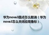 华为nova3圆点怎么取消（华为nova3怎么关闭应用角标）