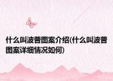 什么叫波普图案介绍(什么叫波普图案详细情况如何)