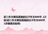 初三作文那段孤独的日子作文600字_1介绍(初三作文那段孤独的日子作文600字_1详细情况如何)