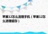 苹果12怎么清理手机（苹果12怎么清理缓存）