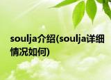 soulja介绍(soulja详细情况如何)