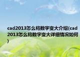 cad2013怎么将数字变大介绍(cad2013怎么将数字变大详细情况如何)
