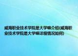 威海职业技术学院是大学嘛介绍(威海职业技术学院是大学嘛详细情况如何)