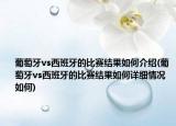 葡萄牙vs西班牙的比赛结果如何介绍(葡萄牙vs西班牙的比赛结果如何详细情况如何)