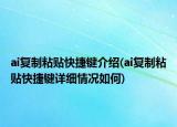 ai复制粘贴快捷键介绍(ai复制粘贴快捷键详细情况如何)