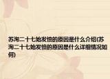 苏洵二十七始发愤的原因是什么介绍(苏洵二十七始发愤的原因是什么详细情况如何)