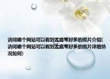 请问哪个网站可以看到孟庭苇好多的照片介绍(请问哪个网站可以看到孟庭苇好多的照片详细情况如何)