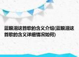 蓝眼泪这首歌的含义介绍(蓝眼泪这首歌的含义详细情况如何)