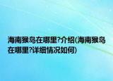 海南猴岛在哪里?介绍(海南猴岛在哪里?详细情况如何)