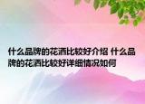 什么品牌的花洒比较好介绍 什么品牌的花洒比较好详细情况如何