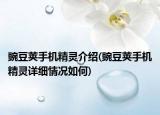 豌豆荚手机精灵介绍(豌豆荚手机精灵详细情况如何)