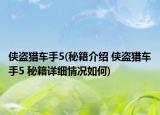 侠盗猎车手5(秘籍介绍 侠盗猎车手5 秘籍详细情况如何)
