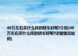 40万左右买什么样的轿车好呢?介绍(40万左右买什么样的轿车好呢?详细情况如何)