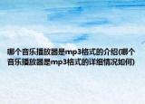 哪个音乐播放器是mp3格式的介绍(哪个音乐播放器是mp3格式的详细情况如何)