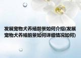 发展宠物犬养殖前景如何介绍(发展宠物犬养殖前景如何详细情况如何)