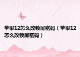 苹果12怎么改锁屏密码（苹果12怎么改锁屏密码）