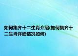 如何集齐十二生肖介绍(如何集齐十二生肖详细情况如何)