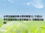 小学生低碳环保小常识教案\