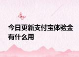 今日更新支付宝体验金有什么用