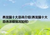 养龙猫十大忌讳介绍(养龙猫十大忌讳详细情况如何)