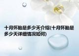 十月怀胎是多少天介绍(十月怀胎是多少天详细情况如何)