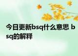 今日更新bsq什么意思 bsq的解释