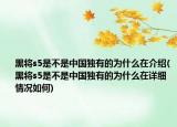 黑将s5是不是中国独有的为什么在介绍(黑将s5是不是中国独有的为什么在详细情况如何)