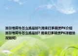 赛尔号犀牛怎么练最好?(用来打多精灵PK介绍 赛尔号犀牛怎么练最好? 用来打多精灵PK详细情况如何)