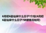 6月初6是仙家什么日子?介绍(6月初6是仙家什么日子?详细情况如何)